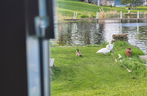 Kent Cottage | Unique Water front cottage for rent