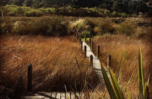 Welcome Bay House | Uniqueness