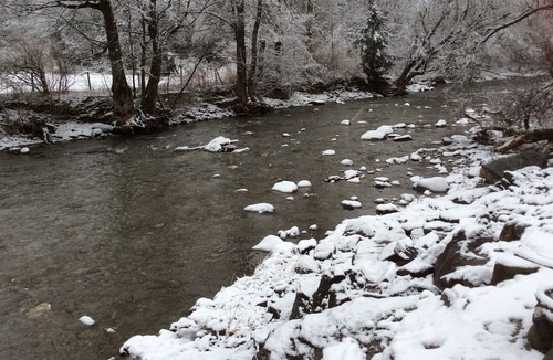 Montgomery Center House | Unit #1 On The Trout River **PET FRIENDLY 🐾🐕