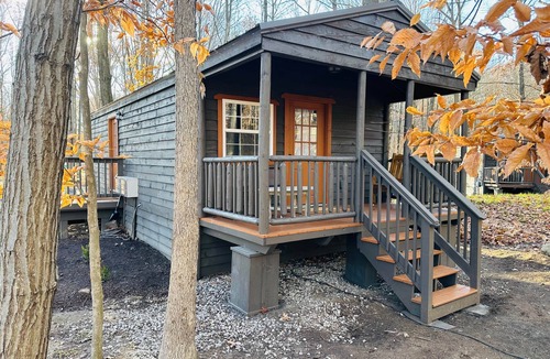 Birch Run Township Cabin | Unit 1 The Cottage
