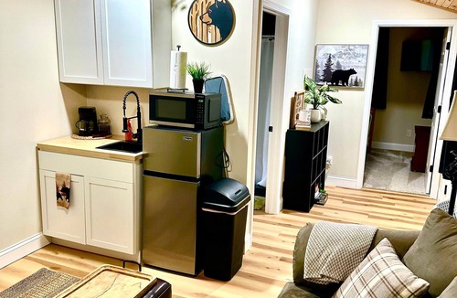 Birch Run Township Cabin | Unit 2 Little Bear