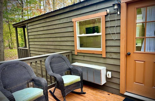 Birch Run Township Cabin | Unit 2 Little Bear