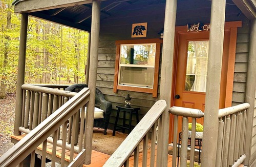Birch Run Township Cabin | Unit 2 Little Bear