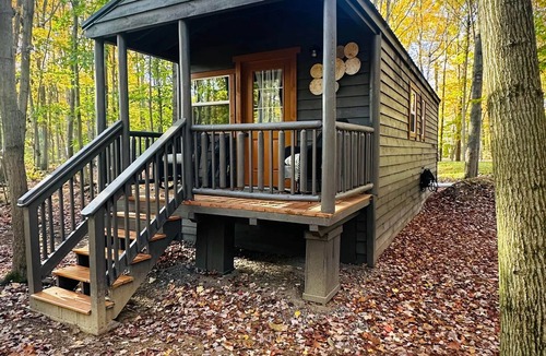 Birch Run Township Cabin | Unit 3 Lodge Cabin