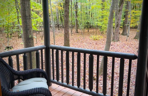 Birch Run Township Cabin | Unit 3 Lodge Cabin