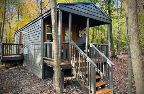 Birch Run Township Cabin | Unit 3 Lodge Cabin