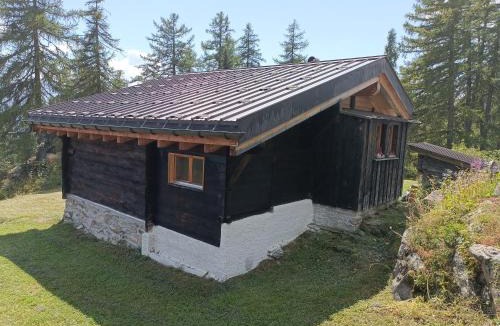 Riederalp Ski Chalet | Untere Schweibe