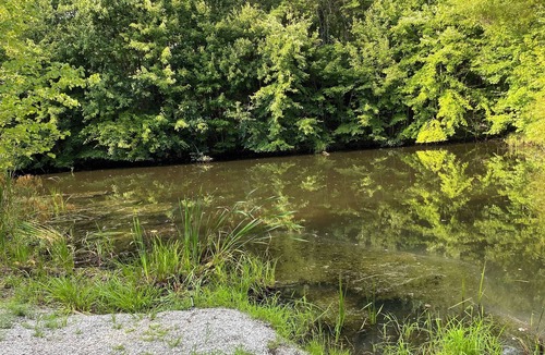 East Bernstadt Cabin | Unwind and Unplug at our Secluded Serenity Nature Paradise in Kentucky