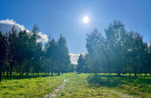 Shepton Mallet Other | Unwind Camping