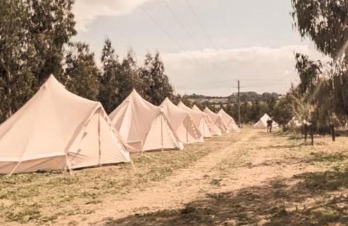 Shepton Mallet Other | Unwind Camping