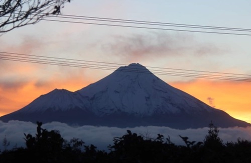 Stratford Apartment | Unwind @ Taranaki Chic Eco Studio