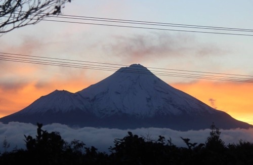 Stratford Apartment | Unwind @ Taranaki Chic Eco Studio