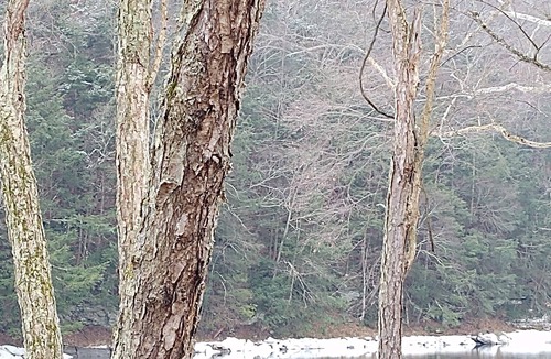 Jersey Mills House | Update fiber optics installed great internet service. Few fall dates left.