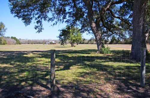 Round Top Cabin | Updated Cabin On Over 10 Acres In Round Top