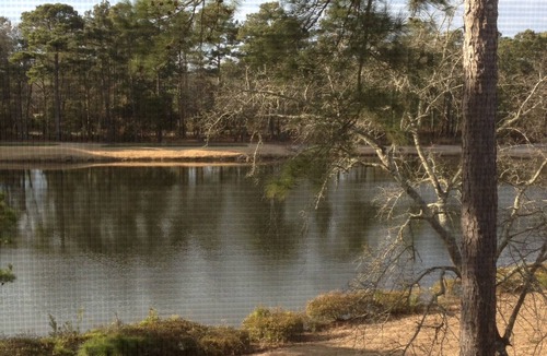 Pawleys Island Condo | Updated 'Non-Smoking' Condo at TRUE BLUE BEACH & GOLF.