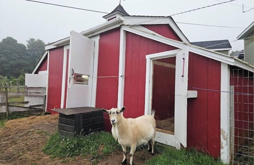 Annapolis Royal Cottage | Upper Clements Cottages