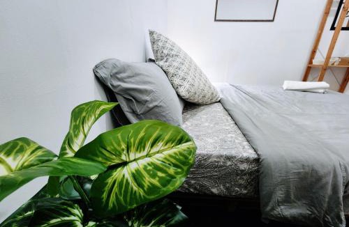 Kampung Lintang Hostel | Upspot Kuching Waterfront Premium Hostel