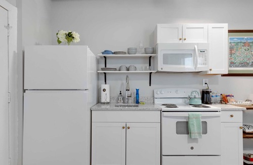 Fan District Apartment | Urban Bloom/King Bed/2TVs/Free Parking/Museums