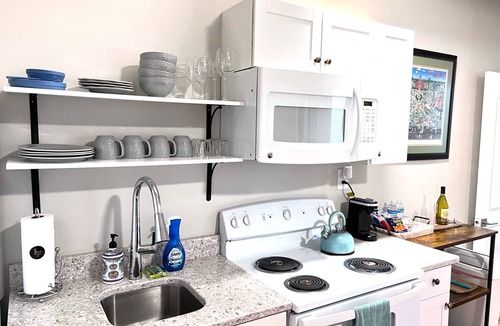 Fan District Apartment | Urban Bloom/King Bed/2TVs/Free Parking/Museums