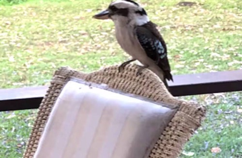 The Gap House | Urban Hideaway overlooking golf course.