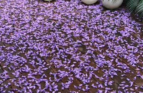 The Gap House | Urban Hideaway overlooking golf course.