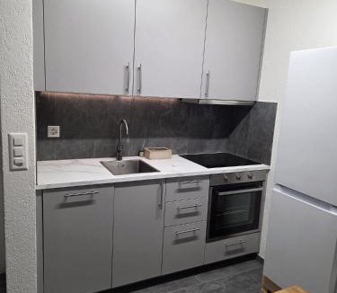 Wilderswil Apartment | Urban Hospitality Rorschach Bodensee Stay