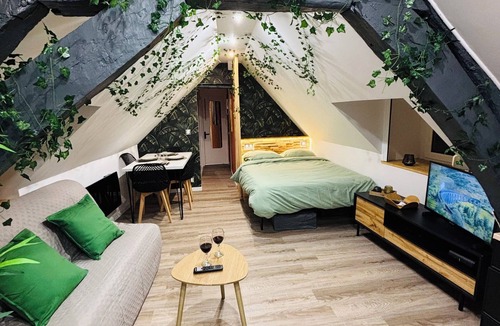 Quartier Vieux Marche-Cathedrale Apartment | URBAN Jungle Downtown escape