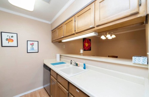 Medical Center District Condo | Urban Oasis: In the Medical Center