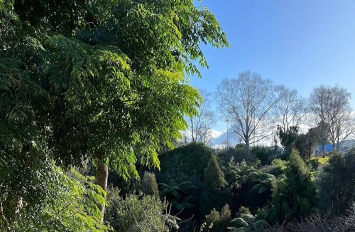 Tauranga House | Urban Oasis