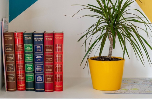 Moliere - Edgard Quinet Apartment | Urban Opera overlooking the Rhone