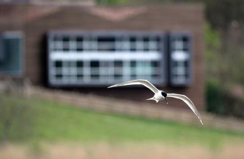 Gautegiz Arteaga Hotel | Urdaibai Bird Center