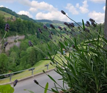Sigriswil Apartment | Urgemütliche Ferienwohnung, zentral und doch ruhig