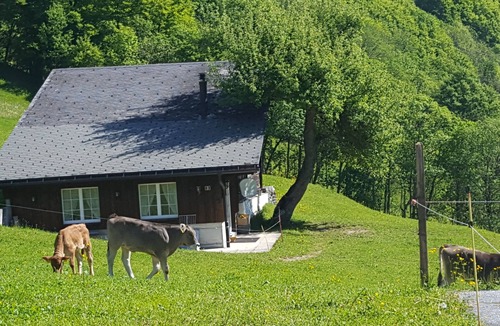 Elm House | Uriges Chalet, Ideal für Familien und Gruppen bis 6 Personen
