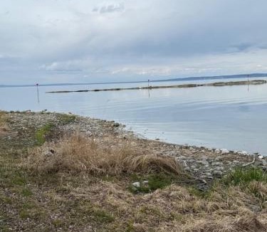 Staad Apartment | Urlaub am Bodensee in Staad - einmalige Seesicht