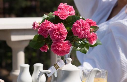 Gus-Khrustalny Resort | Usadba Meshcherskaya Park-Hotel