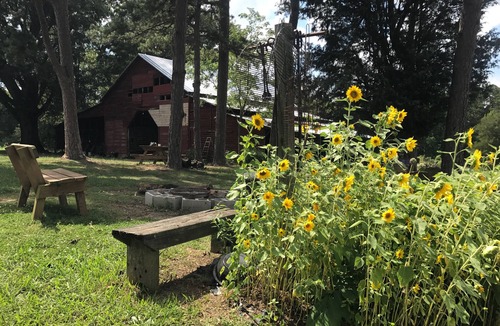 Albemarle RV Rental | Uwharrie Camping Morrow Mountain State Park View Primitive!