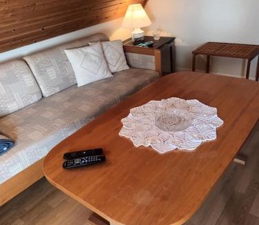Kjellerup Apartment | værelse og stue