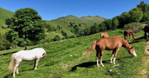 Vacallo Apartment | Vacallo Panorama Apartment - RentuGoo Travel
