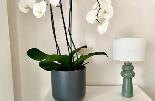 Tourgeville Apartment | Vacances paradisiaques à la plage