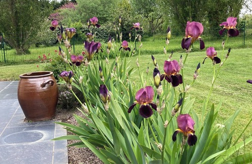 Erquy House | Vacances sur le Cap D'erquy