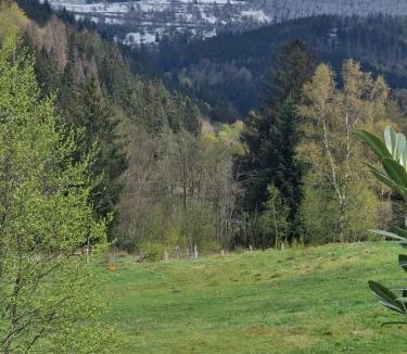 Cornimont Apartment | Vacances zen en montagne