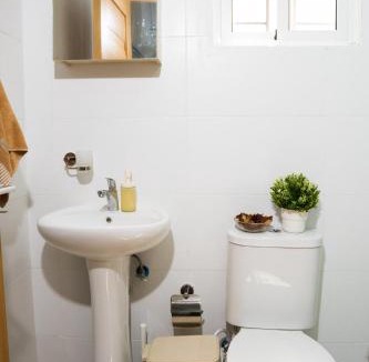 Bocacanasta Apartment | vacation apartment BANI PERAVIA