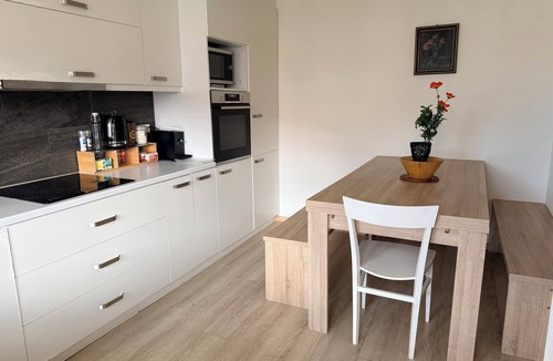 Thun Apartment | Vacation apartment Wintertime Lake Thun&Mountainview