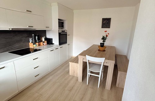 Thun Apartment | Vacation apartment Wintertime Lake Thun&Mountainview