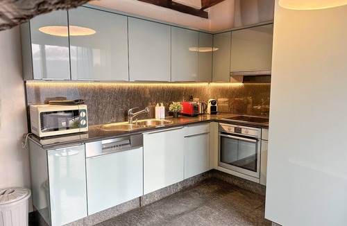 Brione sopra Minusio House | Vacation home with beautiful 180° panoramic view, detached barrel sauna, and hot