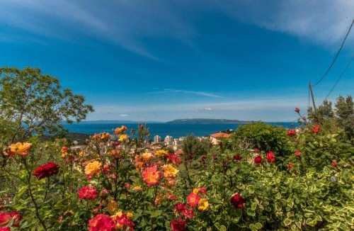 Moca House | Vacation Home Petar