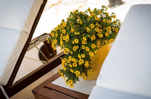Cavtat Old Town House | Vacation house Pietra