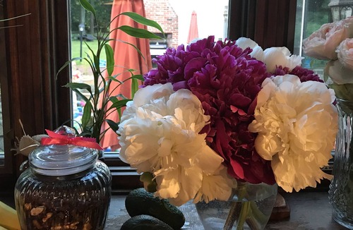 Somers House | Vacation house, with strong wifi to work and study remotely.