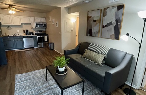 Lawrence Apartment | Vacation Jayhawk style! 4