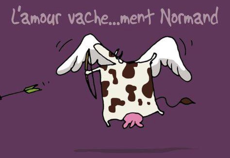 Saint-Nicolas-de-la-Haie House | Vachement bien !